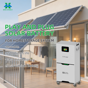 HMX 48V 51.2V 314Ah 16kWh Solar Energy Storage <b>Battery</b> 8000+ Deep Cycle Household Lithium <b>Battery</b> Pack Home <b>Backup</b> Power Supply - Product Image 2