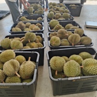 Temperatuurgecontroleerde koudeopslagcontainer voor overzeese fruittransport over zee