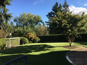 Gazon artificiel paysager à l'aspect naturel haute densité <span class=keywords><strong>pour</strong></span> <span class=keywords><strong>jardin</strong></span>, parc et décoration extérieure LC40 - Product Image 6