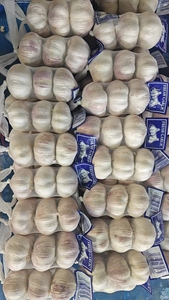 Çin tedarikçisi saf Normal taze beyaz sarımsak toptan fiyat sunuyor çin'den Ajo frafrais ihraç - Product Image 5