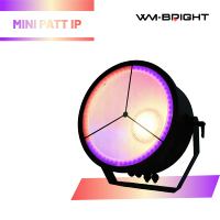 Projecteurs LED Wash rétro 450W IP54 IP RGBLAC 6-en-1 1800~8500K Mini PATT DMX512 à suspension pour DJ, discothèques et événements