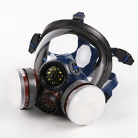 Construction ANSI Spray Painting Sécurité Masque à gaz respiratoire intégral pour les radiations
