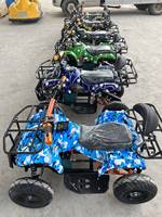 Quad électrique 48V Dune Buggy Spider pour parc d'aventure, maternelle ou aire de jeux, véhicule utilitaire de plage à vendre