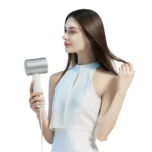 Huishoudelijke Sneldrogende Elektrische Negatieve Ionische Mini Oplaadbare Haardroger Machine Voor Haar