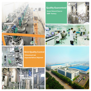 Rainwood Non-GMO Tinh Khiết <span class=keywords><strong>Lecithin</strong></span> 97% Sunflower <span class=keywords><strong>Lecithin</strong></span> Bột 60% Sunflower <span class=keywords><strong>Lecithin</strong></span> Lỏng Cas 8002-43-5 Với Nguồn Cung Cấp Ổn Định - Product Image 5