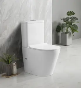 ZHONGYA Oem luxury watermark australian standard sanitary ware toilet dual flush west rimless two piece toilet