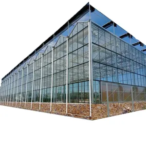 Hete Verkoop Landbouwglas Druppelirrigatie Structurele Glas Grote Watermeststof Machine Kas