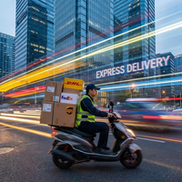 Schnellster 3-Tage-Expressversand von China in die USA, Europa, weltweit - VIP DHL FedEx UPS Tür-zu-Tür-Service.