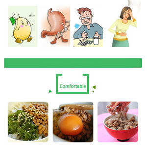 3g/Sacchetto Bacillus Subtilis Natto Nattokinase per Fermentazione Fai-da-te di Natto, Polvere di Spore Enzimatiche per Avvio Fermentazione - Product Image 6
