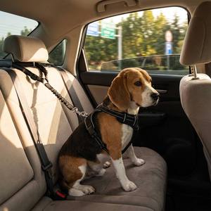 HY Fully Strengthened Metal Reflective Webbing Anti-Tearing Pet Dog Leash Reflective Material <strong>Puppy</strong> Belt Harnesses Product - Product Image 1
