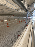 Cage à poulets de type h à poussée et à traction personnalisée