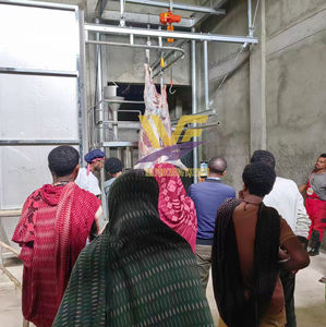 Máquina de línea de sacrificio de ganado <span class=keywords><strong>ritual</strong></span> con equipos de matadero Halal Maquinaria de carnicería - Product Image 6