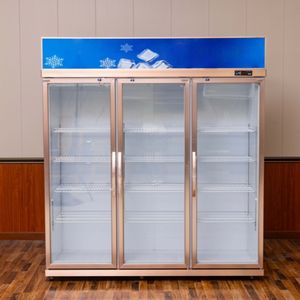 Enfriador <span class=keywords><strong>de</strong></span> Aire Comercial para Supermercados, para Bebidas como Coca-Cola, Pepsi y Otras, Refrigerador Exhibidor para Heladerías - Product Image 2