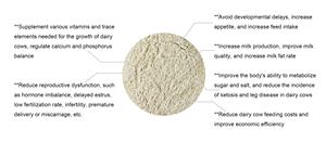 Un Equipo Profesional Desarrolla y Fabrica Aditivos para Piensos Específicamente para Ganado Vacuno - Product Image 4