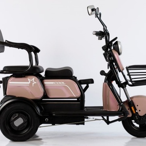 Triciclo Eléctrico, Bicicleta Eléctrica de Carga Motorizada, Scooter Eléctrico de Tres Ruedas, Triciclo Eléctrico para Adultos - Product Image 3