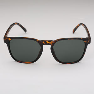 2025 Trending Classical OEM Hombres Gafas de sol UV400 Protección Lente Pantone Color disponible - Product Image 2