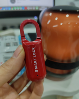 Serrure de meuble à empreinte digitale RX-M01 Tuya APP, 10 empreintes digitales, déverrouillage par autorisation à distance, rechargeable par USB pour bagages de voyage