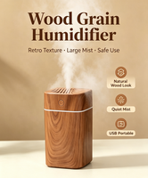 Humidificateur USB Mini Ultra-Silencieux à Grande Capacité (300 ml) pour Maison et Voiture – Vente Chaude, Approvisionnement Direct Usine