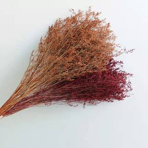 Hierba de San Valentín al por Mayor de Fábrica, Hierba de <span class=keywords><strong>Limonium</strong></span> Preservada para Decoración del Hogar/Bodas/Arreglos Florales - Product Image 6