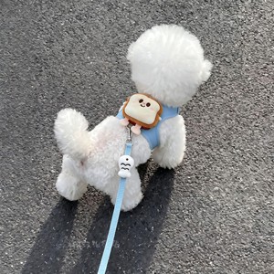 Harnais de poitrion pour chien et chat, motif ours mignon, pour promenade, laisse de traction, style Kawaii - Product Image 5