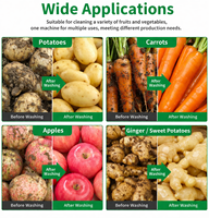 Automatische aardappelwas- en schilmachine met borstelrolreiniger voor zoete aardappel, cassave, wortel, gember en groenteverwerkingsapparatuur