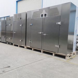 10 Tray Blast Freezer | Small Air Cooling Quick Machine | 2 Door Refrigerator Chiller - Product Image 3