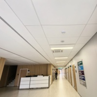 Plafond suspendu moderne pour hôpitaux et hôtels, panneau de plafond en fibre de verre antibactérien, ignifuge, imperméable et antimicrobien
