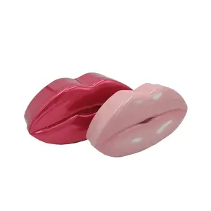 Modieuze Sex Custom Lip Vorm Cosmetische Gift Tin Verpakking