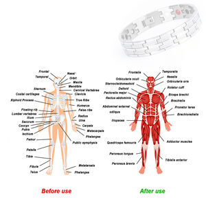 Japón hermosa Quantum Scalar Bio Energy energía magnética 5 en 1 Bio Magnetic 316l pulseras de brazalete de acero inoxidable - Product Image 6