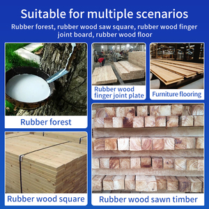 Kit de traitement de conservation du bois d'hévéa comprenant un agent <span class=keywords><strong>anti</strong></span>-<span class=keywords><strong>moisissure</strong></span>, du borax et de la <span class=keywords><strong>javel</strong></span> pour une protection complète - Product Image 3