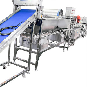 Machine à laver les légumes et les fruits séchés, Machine de traitement des tranches de légumes, ligne de séchage à l'air, 500kg - Product Image 2