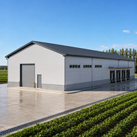 Structure en acier durable pour entrepôt, conforme aux normes AISC, résistante aux intempéries, atelier métallique préfabriqué, garage, hangar, bâtiment industriel