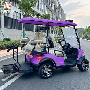 Carro de Golf Loco de 2 Asientos con <span class=keywords><strong>Motor</strong></span> Eléctrico de 5KW Mini Carrito de Golf de Acero Tablero de E-Golf Certificado por EEC & GCC - Product Image 2