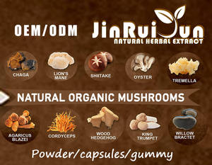 OEM <span class=keywords><strong>Inonotus</strong></span> <span class=keywords><strong>Obliquus</strong></span>多糖チャガキノコエキス粉末真空パック - Product Image 5