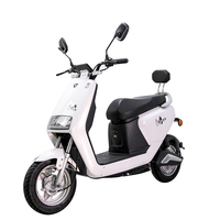 VIMODE 2026 Vélo Électrique Style Rétro Abordable Personnalisé pour Femme Commutation Urbaine Quotidienne Qualité Garantie