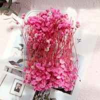 Coffret Cadeau de Carte de Vœux avec Fleurs de Gypsophile Éternelles, Emballage Décoratif, Fleurs Séchées, Kit DIY Gypsophila, Personnalisable