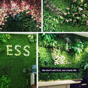 Mur végétal artificiel en plastique, décoration de plantes vertes, fleurs pour salon, balcon, choix premium, Junbo Flower Industry - Product Image 2