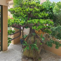 200cm de haut intérieur artificiel bonsaï pin durable en fibre de verre et verdure en plastique matériau de pierre à haute assurance en vente!