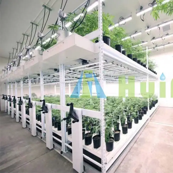Rolling Wheels Moving Easy High Grow Yield Lettuce Vegetable Seeding Indoor Hydroponic Setup Rack For Plants