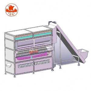 Máquina automática de apertura de pistachos de 120 Kg/h - Product Image 3