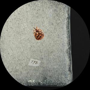 SY Customized TPE Granules Pellets 0A - 80A Injection Extrusion TPE <b>Plastic</b> Material Manufacturer - Product Image 1