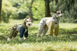 <b>Dog</b> Raincoat Modern Classic Waterproof Windproof Solid Fabric Lightweight Reflective Breathable Full-<b>Body</b> Coverage Dry <b>Suit</b> - Product Image 2