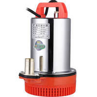 Pompe à eau submersible portable DC pour la maison et les véhicules électriques 12V/24V/48V/60V/72V