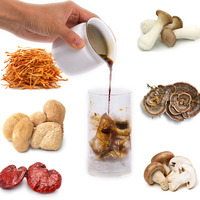 Café de champignon personnalisé de marque privée OEM solution de poudre de café instantané Ganoderma Reishi