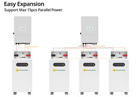 LiFePO4 Battery 51.2V 314Ah 16kWh IP20 IP65 BMS Built-in Solar Energy Storage Battery for Solis Deye Inverter