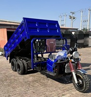 Tricycle à moteur à essence robuste de 300 cm³ et 350 cm³, best-seller, avec capacité de chargement de 9 roues