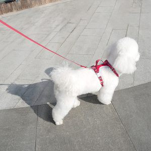 ペット製品抗ロスト犬ハーネスリーシュ付き卸売高級品 - Product Image 3