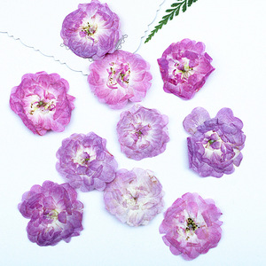 DIY本物の押し花ライトピンクパープルローズ、ナチュラルモーブローズの花、キャンドル作り、石鹸の埋め込み、エポキシ樹脂工芸装飾用 - Product Image 3