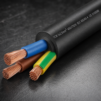 Câble d'alimentation électrique industriel YC YCW 3x2,5 mm² en cuivre, isolé XLPE, robuste, gainé de caoutchouc rond, flexible, 2 conducteurs