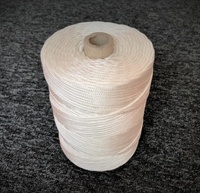 Corde en nylon tressé léger de 2mm en gros de Chine Cordon en polyamides polyvalent noir et blanc pour le camping et la randonnée